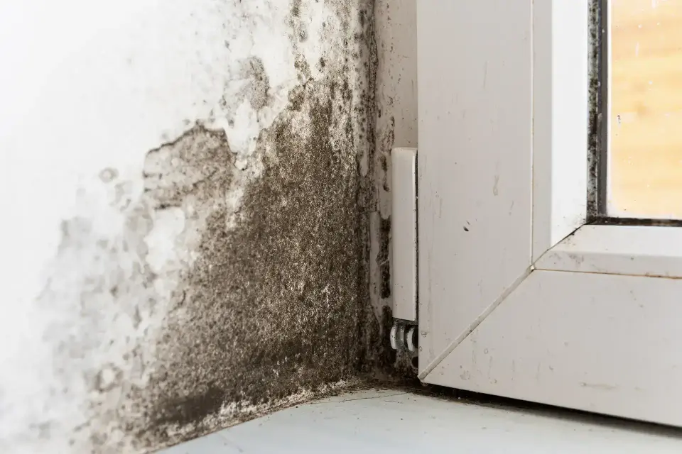 water damage restoration in Blue Mound, TX